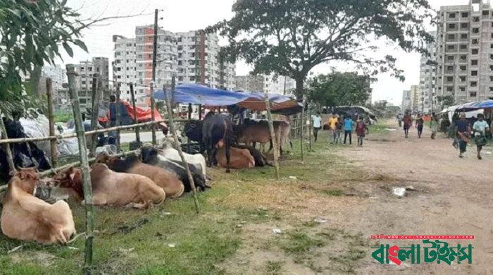 ঈদুল আযহায় আফতাবনগরে গরুর হাট বসানো যাবে না: হাইকোর্ট