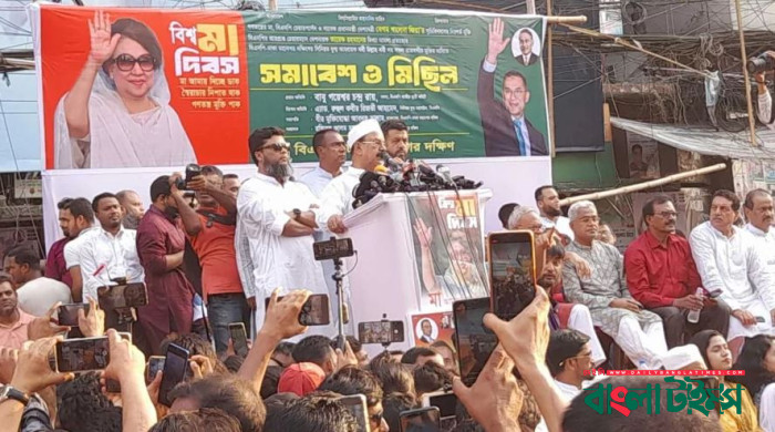 ‘ভারত ডামি সরকারকে বেশিদিন ক্ষমতায় রাখতে পারবে না’