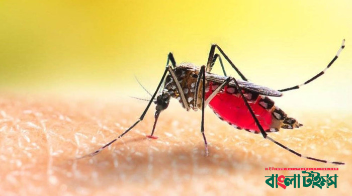 ডেঙ্গুতে একদিনে তিনজনের মৃত্যু