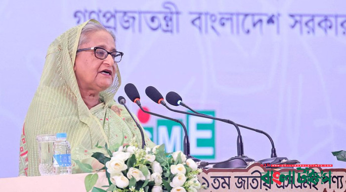 মূল্যস্ফীতি নিয়ন্ত্রণে চেষ্টা করছে সরকার: প্রধানমন্ত্রী