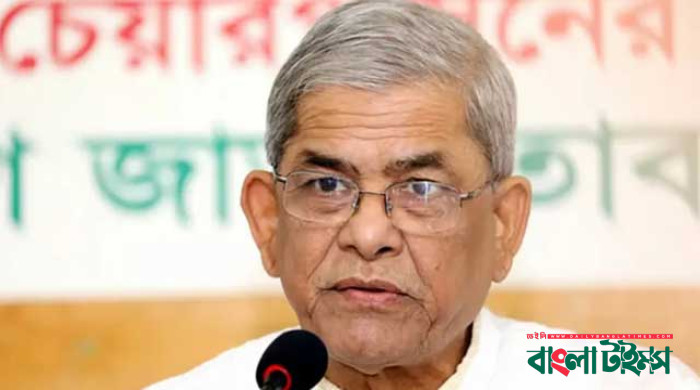 দেশটা এখন মগের মুল্লুক: মির্জা আলমগীর