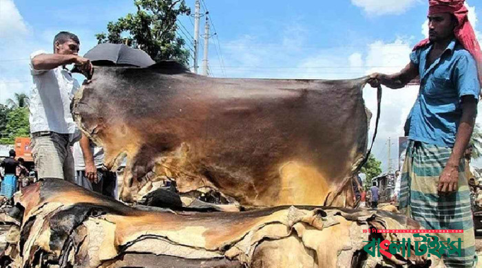 ঢাকায় কোরবানির গরুর চামড়ার দাম বাড়ল বর্গফুটে ৫ টাকা