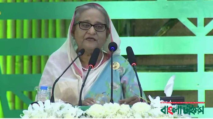 আমরা গাছ লাগাই, বিএনপি আন্দোলনের নামে করে ধ্বংস: প্রধানমন্ত্রী