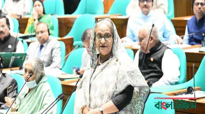 ‘২১ আগস্ট গ্রেনেড হামলায় পলাতক আসামিদের গ্রেপ্তারের চেষ্টা চলছে’