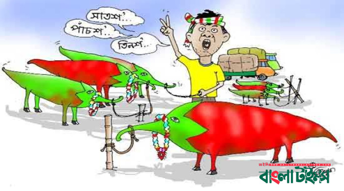 কাঁচা মরিচের কেজি ৪০০ টাকা