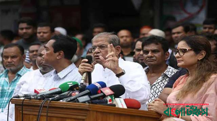 দেশের অস্তিত্ব বিপন্ন হয়ে পড়েছে : মির্জা আলমগীর