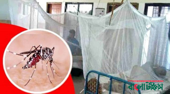 ডেঙ্গুতে আজও ৯ মৃত্যু, সর্বোচ্চ ২২৯৩ জন হাসপাতালে ভর্তি