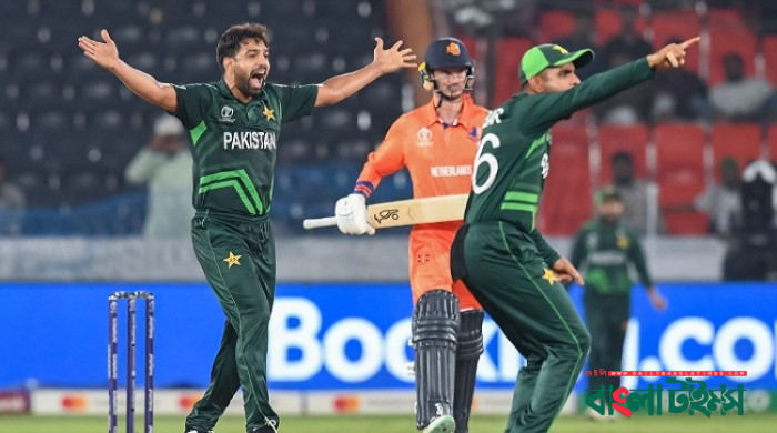 Pakistan beat Netherlands by 81 runs in ICC Cricket World Cup