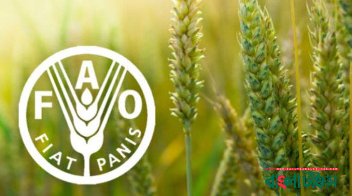 খাদ্য আমদানিতে বিশ্বে তৃতীয় বাংলাদেশ, রপ্তানির তলানিতে