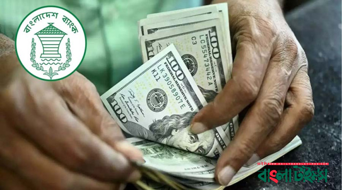 ২৯ দিনে প্রবাসী আয় ১৮১ কোটি ৫১ ডলার
