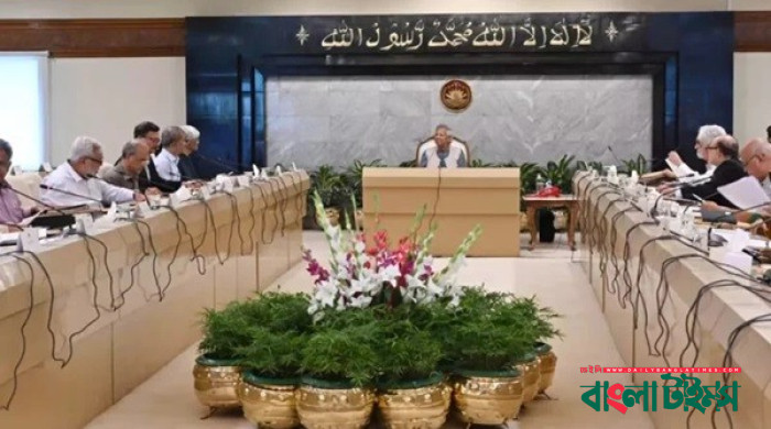 সংস্কার শেষে নির্বাচনের পক্ষে ৬৫.৯%: ভয়েস অব আমেরিকার জরিপ