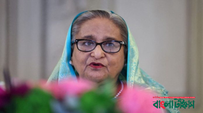 শেখ হাসিনাকে ফেরত চেয়ে চিঠি : দিল্লির উত্তর এলে পদক্ষেপ নেবে ঢাকা