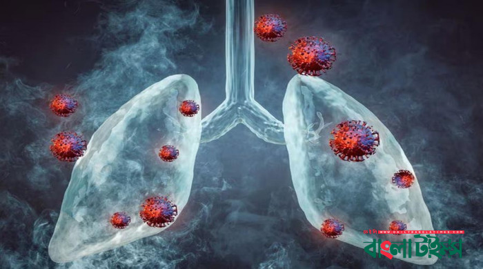 নতুন ভাইরাস এইচএমপিভি, মহামারীর আতঙ্ক