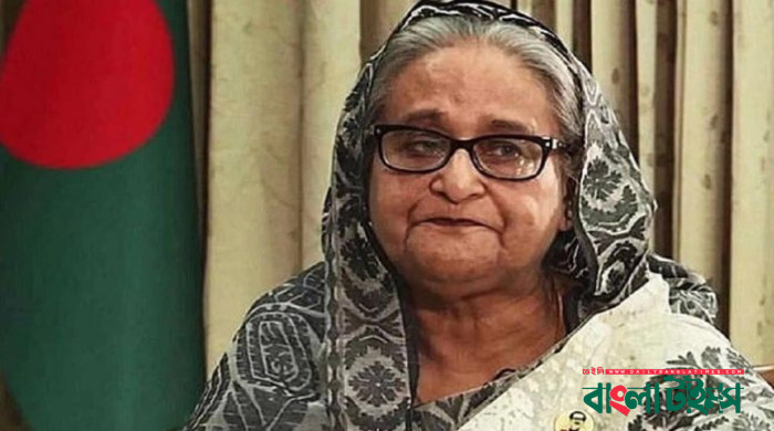 হাসিনাসহ শেখ পরিবারের ১০ সদস্যের এনআইডি লক করেছে ইসি