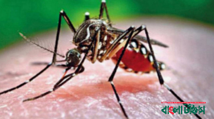 ডেঙ্গু কাড়লো আরও ১৭ প্রাণ, নতুন রোগী ১৭৩৪