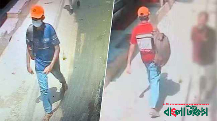 টাকা চুরি দেখে ফেলায় দুই খালাকে হত্যা