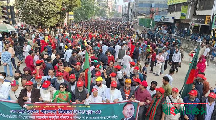 রাজধানীতে বিএনপির বর্ণাঢ্য বিজয় র‍্যালি