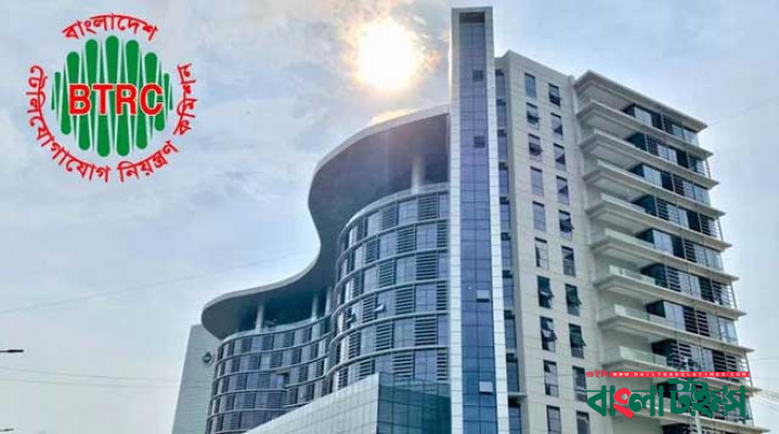ইন্টারনেট বন্ধ করেছিল বিটিআরসি ও এনটিএমসি, নির্দেশ পলকের