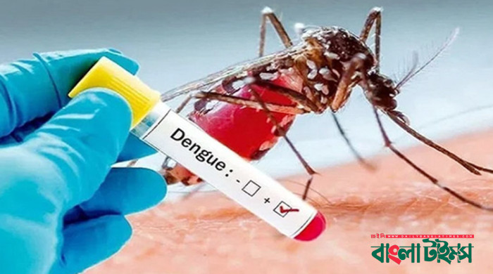 ডেঙ্গুতে আরও ৬ মৃত্যু, নতুন আক্রান্ত ১ হাজার ২৯৮