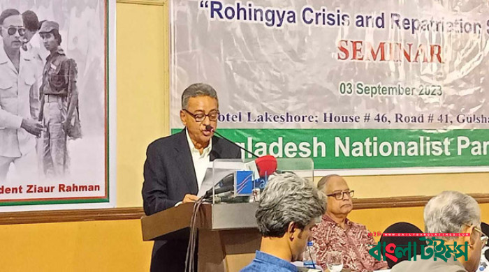 রোহিঙ্গা সংকট দূর ও প্রত্যাবাসন ত্বরান্বিত করতে রূপরেখা দিলো বিএনপি