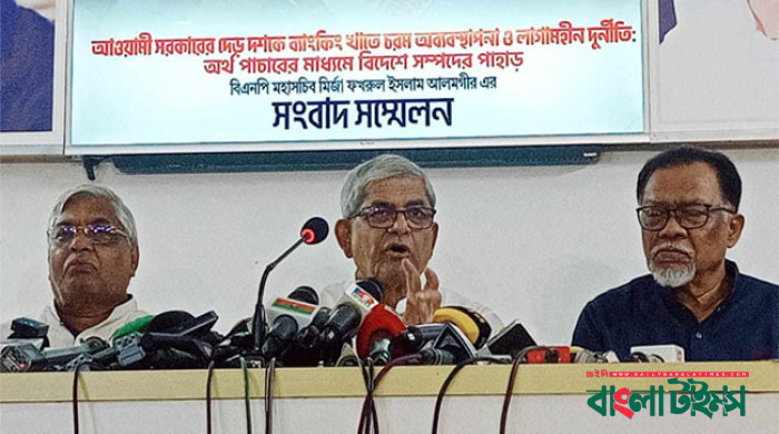 দেশের সমগ্র অর্থনীতি ভয়াবহ নৈরাজ্যকর অবস্থায় পড়ে গেছে: মির্জা ফখরুল