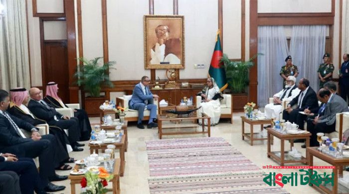 বাংলাদেশ সবসময় ফিলিস্তিনের পাশে আছে : প্রধানমন্ত্রী