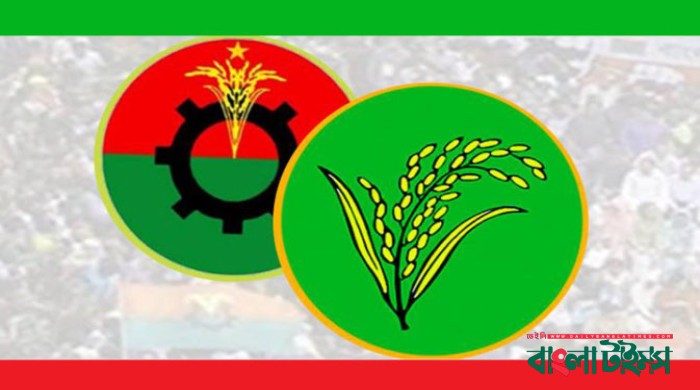 BNP announces names of its 206 candidates