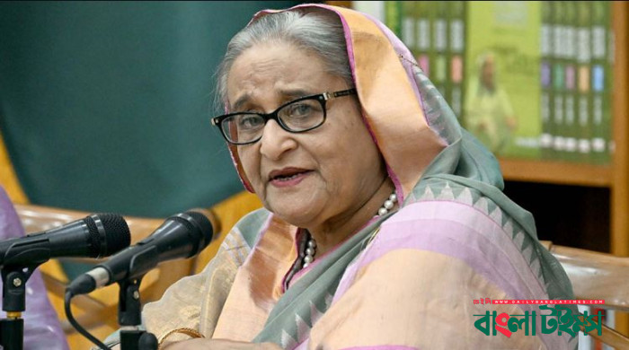 হাসিনাকে ভারতে আশ্রয় দেওয়া নিয়ে প্রশ্ন তুলেছেন ঝাড়খণ্ডের মুখ্যমন্ত্রী