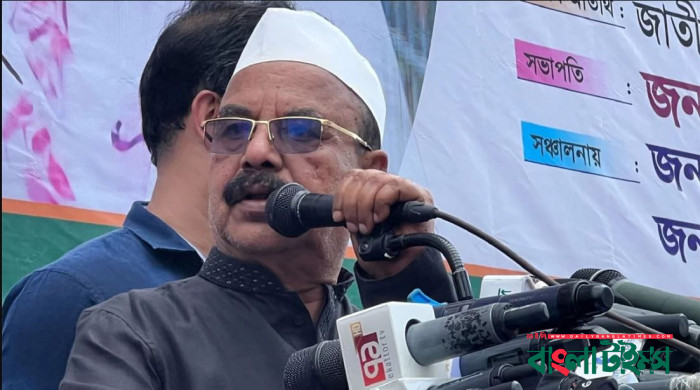 সরকার বেশিদিন টিকবে না: গয়েশ্বর