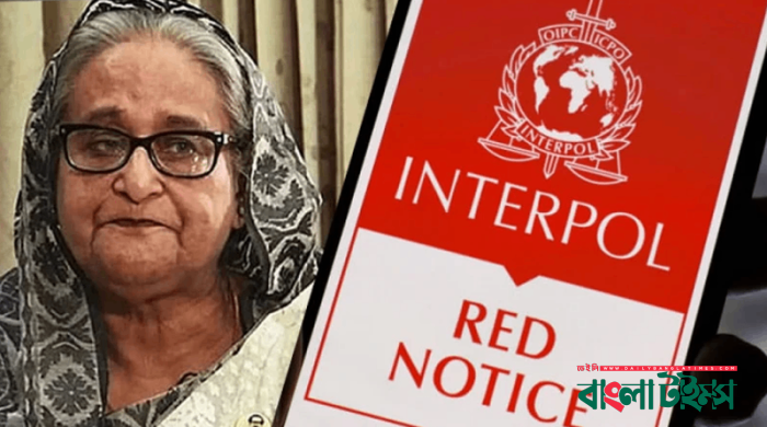 শেখ হাসিনাকে গ্রেপ্তারে ইন্টারপোলে রেড অ্যালার্ট জারি