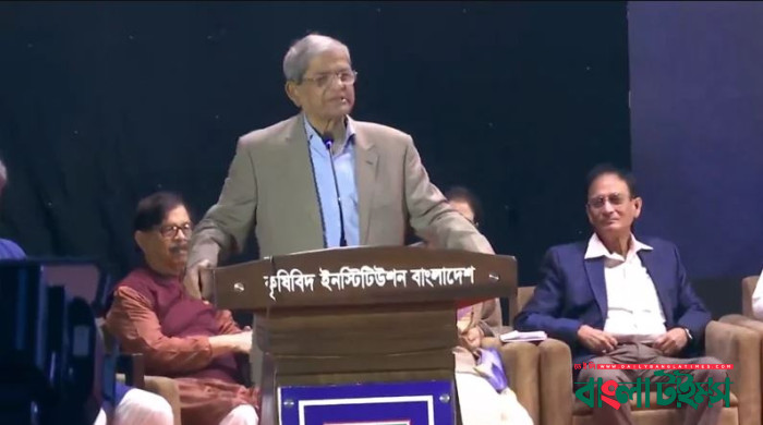 নির্বাচন যত দেরি হবে, সমস্যা আরও বাড়বে: মির্জা ফখরুল