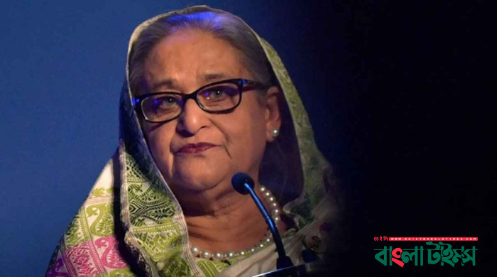 হাসিনার গণহত্যা মামলার খসড়া প্রতিবেদন জমা, মিলেছে অপরাধের প্রমাণ