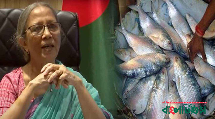 ক্ষমা চাচ্ছি, ভারতে কোনো ইলিশ পাঠাতে পারবো না’