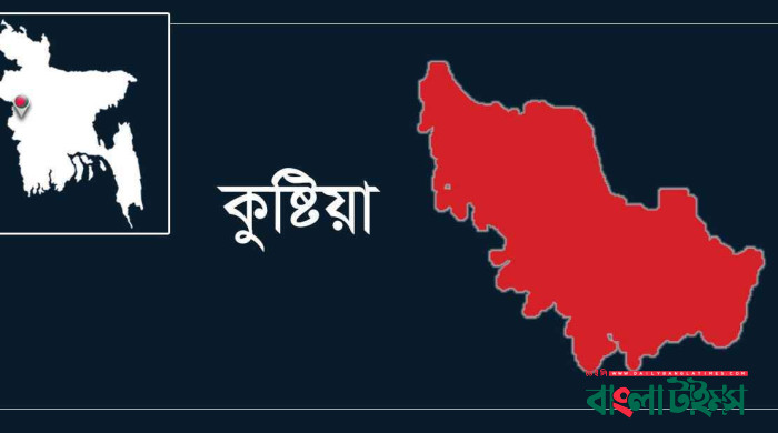 খোকসায় মাইক্রোবাস চাপায় ৪ শিশু নিহত