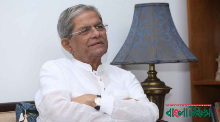 ভারতের সঙ্গে সম্পর্কের ‘বরফ গলতে শুরু করেছে’: মির্জা ফখরুল
