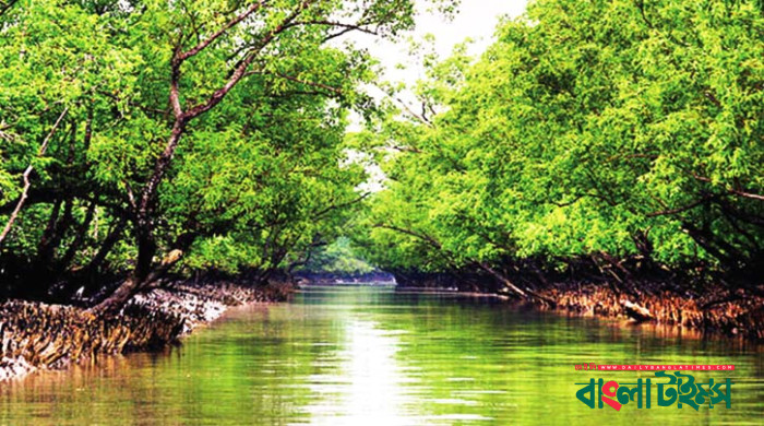 সুন্দরবনের ১০ কিলোমিটার এলাকায় শিল্পপ্রতিষ্ঠান স্থাপনে নিষেধাজ্ঞা
