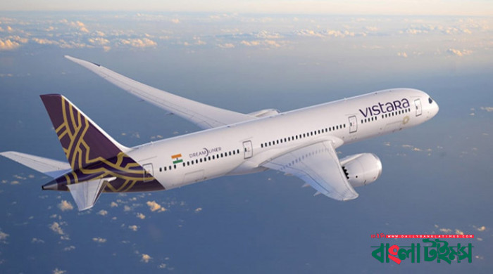 মাঝ আকাশে বিমান বালাকে চুমু খাওয়ার চেষ্টা, আটক বাংলাদেশি