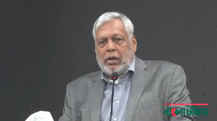 বাড়বে না বিদ্যুতের দাম : জ্বালানি উপদেষ্টা