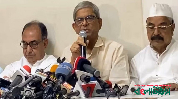 তারেক-জোবায়দার রায়ের প্রতিবাদে শুক্রবার সারাদেশে বিএনপির সমাবেশ