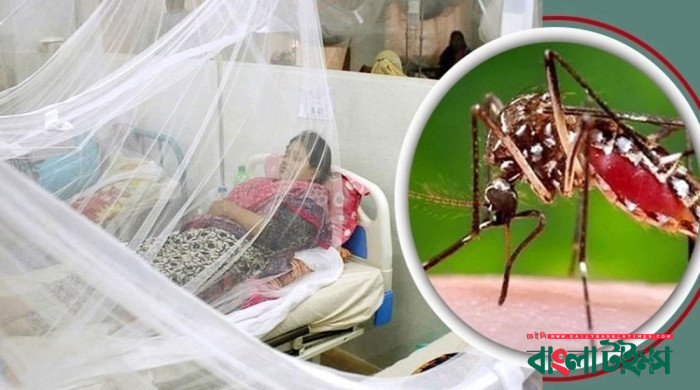 11 dengue patients die, 2,327 hospitalised in a day