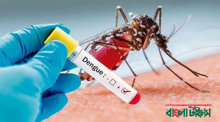 দেশে ডেঙ্গু আক্রান্ত ৬৮৫ জন হাসপাতালে ভর্তি, মৃতের সংখ্যা বেড়ে ১৫০