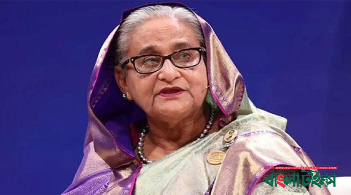 শেখ হাসিনার বিরুদ্ধে আনুষ্ঠানিক অভিযোগ দাখিল রোববার