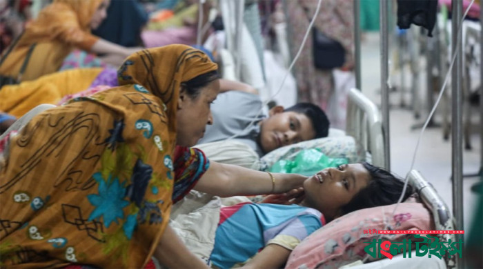 ডেঙ্গুতে আরও ৫ জনের শেষ নিঃশ্বাস, হাসপাতালের সরণাপন্ন অনেকেই