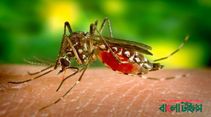 6 people died of dengue in January