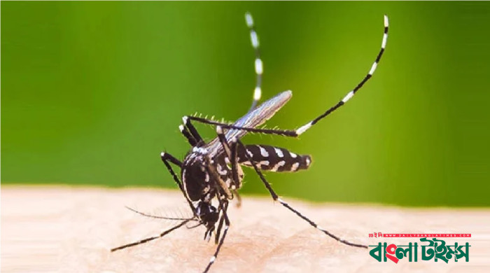 ডেঙ্গুতে আরও একজনের মৃত্যু, হাসপাতালে ২০৯