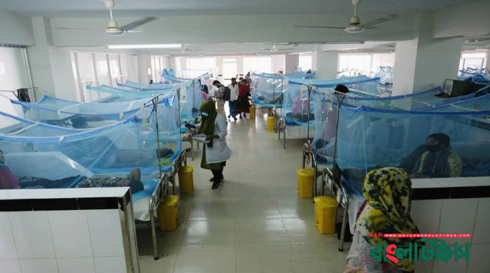 13 more dengue patients hospitalized in 24 hours