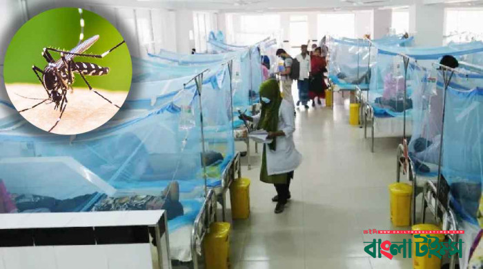 বাড়ছে ডেঙ্গুর প্রকোপ: একদিনে ৮ মৃত্যু, শনাক্ত ১১০৮