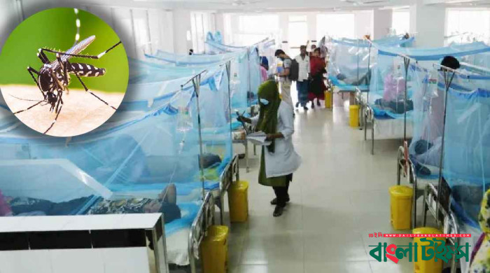 ডেঙ্গুতে একদিনে প্রাণ গেল ১০ জনের