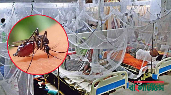 ডেঙ্গুতে আরও ৫ জনের মৃত্যু, সবাই ঢাকার বাসিন্দা