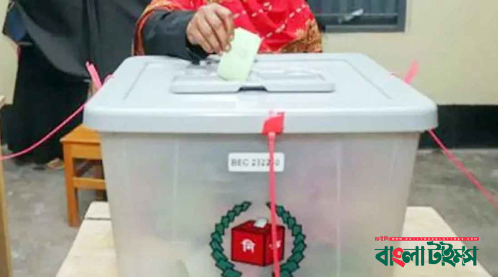 আওয়ামী লীগ আমলের তিন সংসদ নির্বাচনের অনিয়ম তদন্তে কমিটি গঠন